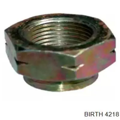 Гайка кріплення колеса Birth 4218 ціна, від 2.88 USD