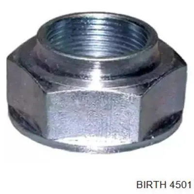 Купити 4501 Birth Гайка маточини передньої