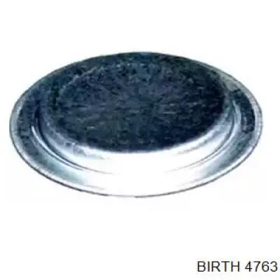 Заглушка ГБЦ/блоку циліндрів Birth 4763 ціна, від 1.60 USD