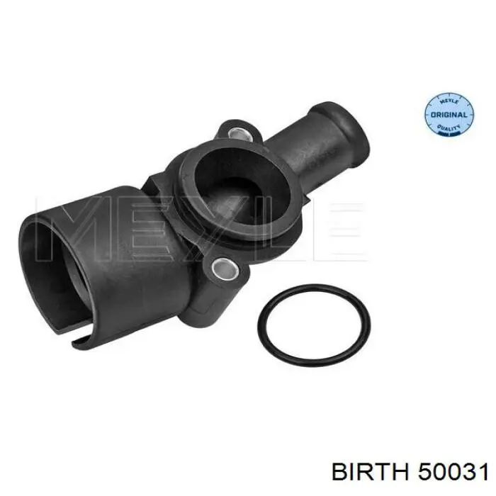 50031 Birth Подушка передньої опори двигуна