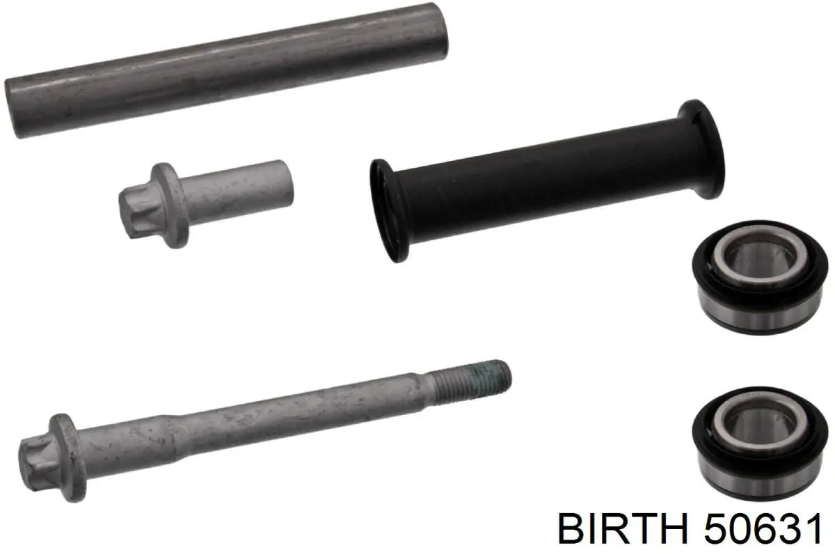 Сайлентблок заднього нижнього важеля Birth 50631 ціна, від 33.27 USD