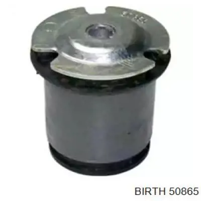 Сайлентблок задньої балки/підрамника Birth 50865 ціна, від 25.24 USD
