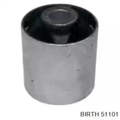 Купити 51101 Birth Задня подушка двигуна