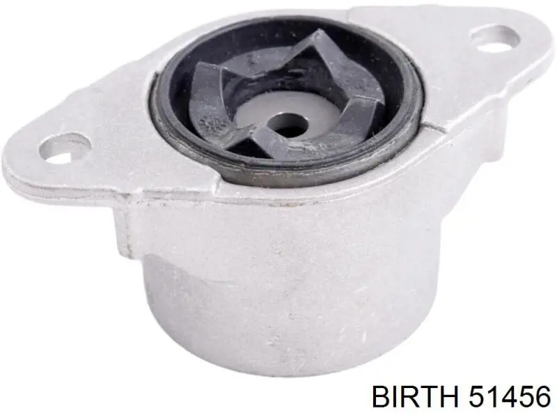 Пильник стійки задньої Birth 51456 ціна, від 5.62 USD
