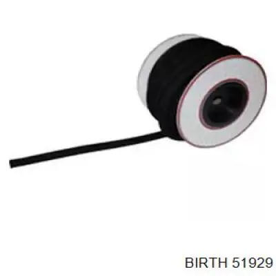 51929 Birth 
