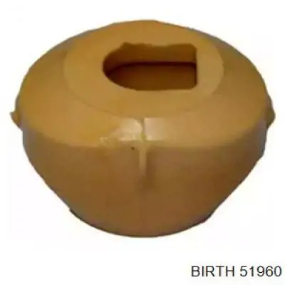 51960 Birth Подушка передньої опори двигуна
