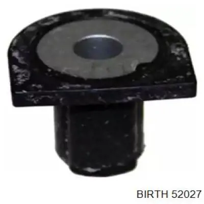 52027 Birth 