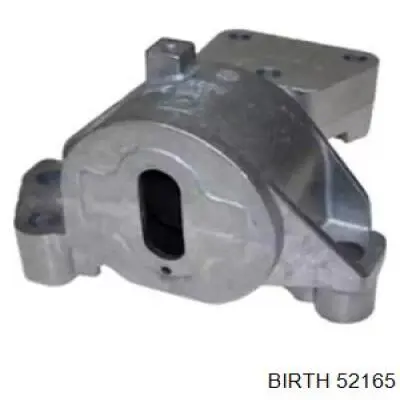 52165 Birth 