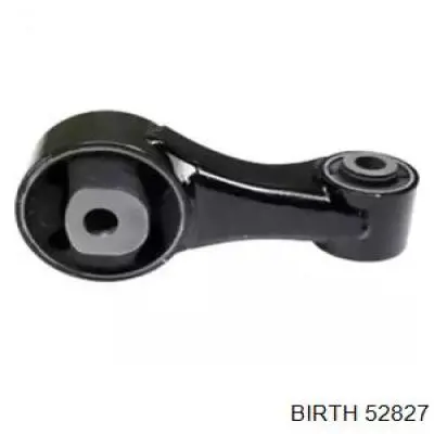 52827 Birth 