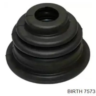  Birth 7573 ціна, від 3.91 USD