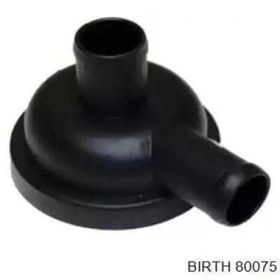 80075 Birth 