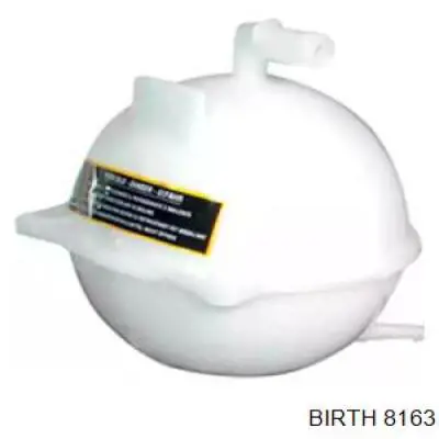 8163 Birth Розширювальний бачок охолодження