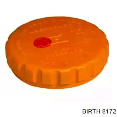 Купити 8172 Birth Кришка розширювального бачка