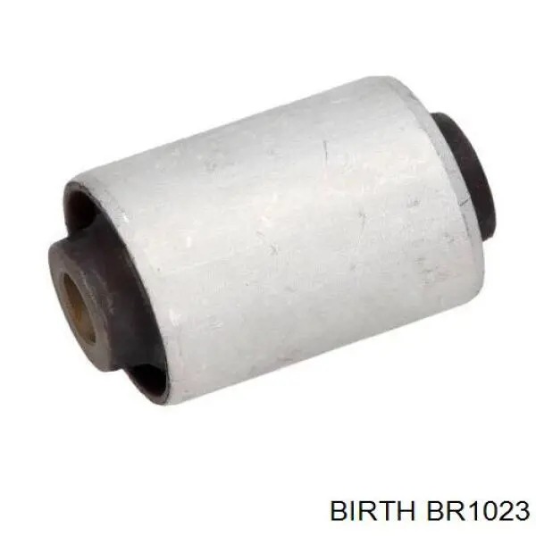 Важіль передньої підвіски нижній, правий Birth BR1023 ціна, від 125.08 USD