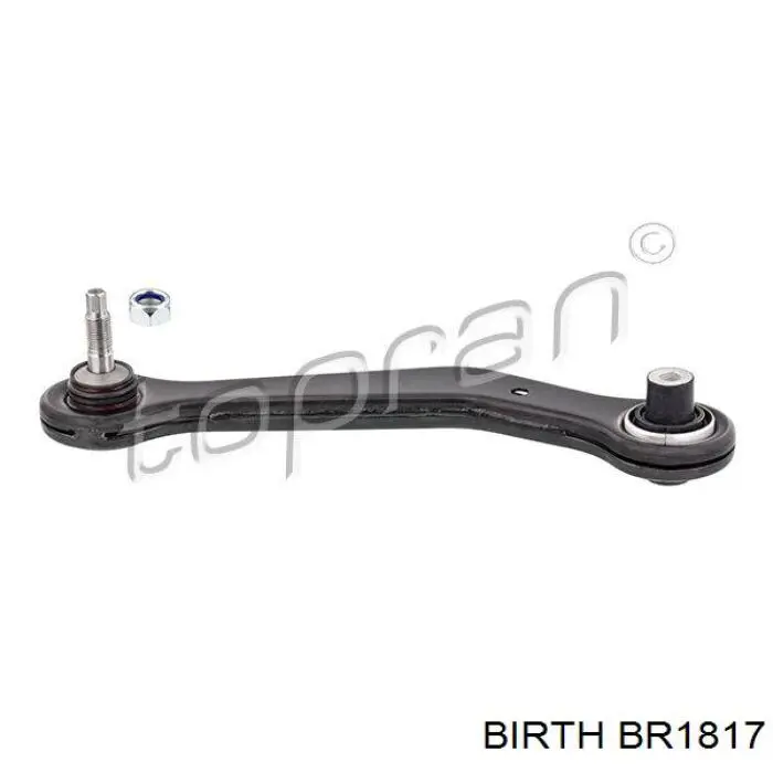 Верхній важіль задньої підвіски лівий Birth BR1817 ціна, від 26.75 USD