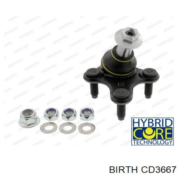 Кульова опора, нижня, права Birth CD3667 ціна, від 10.92 USD