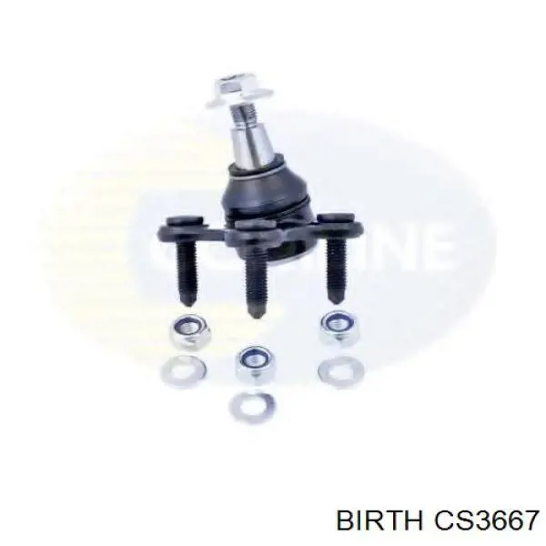 CS3667 Birth Кульова опора, нижня, ліва