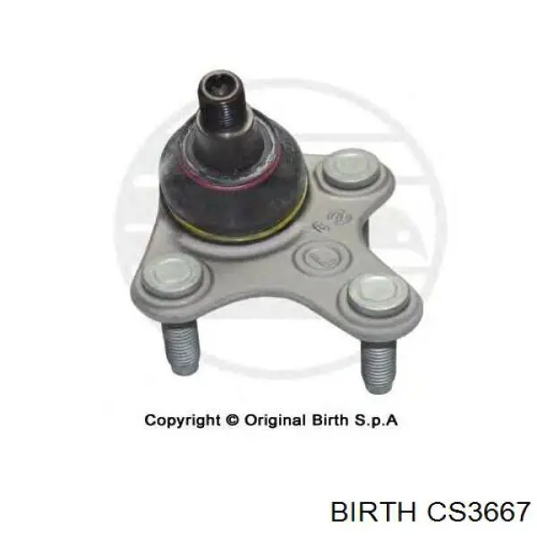 CS3667 Birth Кульова опора, нижня, ліва