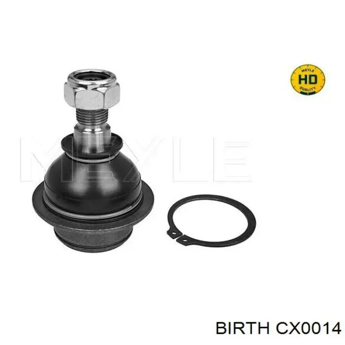 CX0014 Birth Кульові на авто