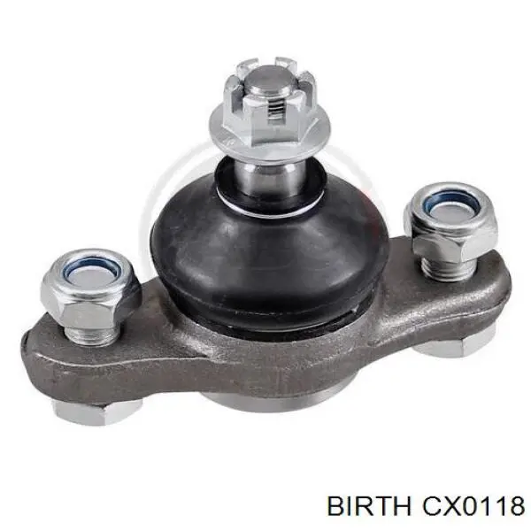 CX0118 Birth Кульові на авто