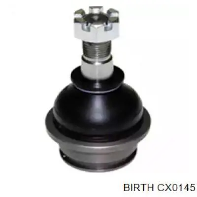 CX0145 Birth Кульові на авто