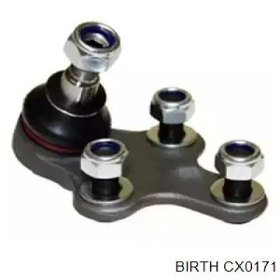 Кульова опора, нижня CX0171 Birth