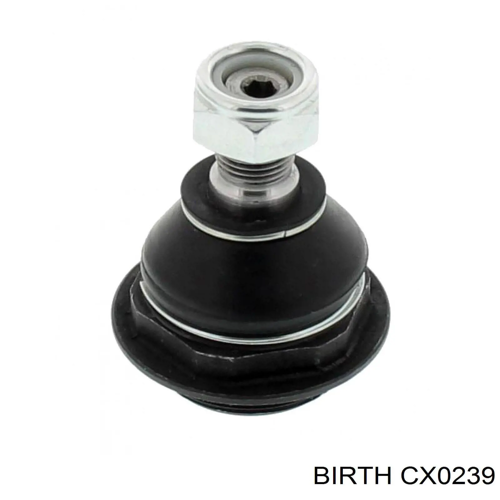 CX0239 Birth Кульові на авто