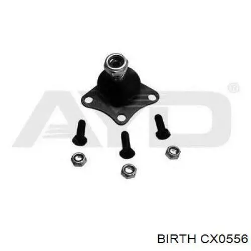 Купити CX0556 Birth Кульова опора, нижня