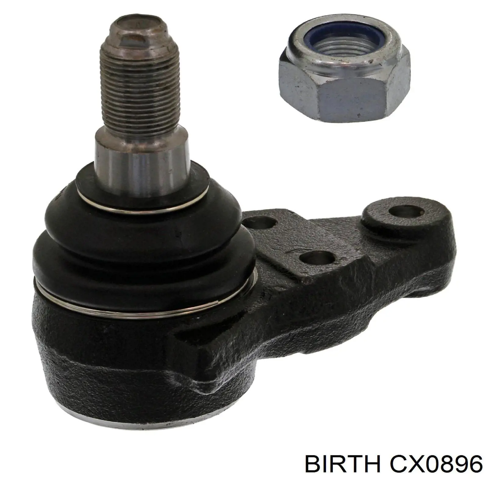CX0896 Birth Кульові на авто