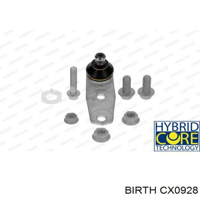 Кульова опора, нижня Birth CX0928 ціна, від 8.98 USD