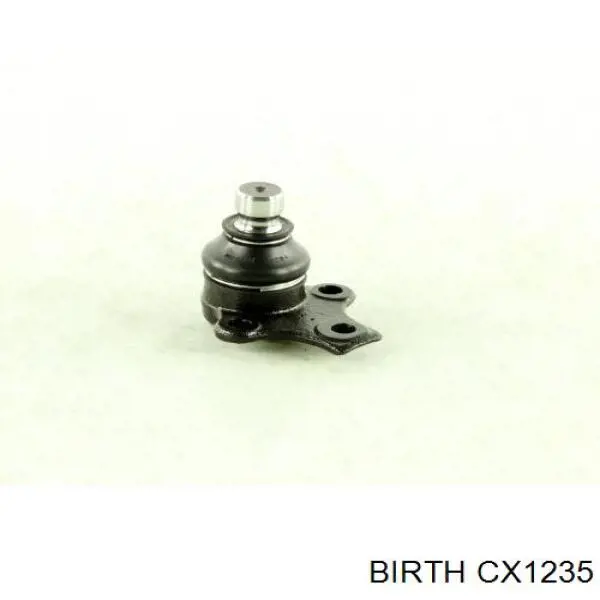 CX1235 Birth Кульові на авто