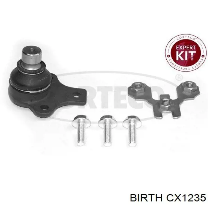 CX1235 Birth Кульові на авто