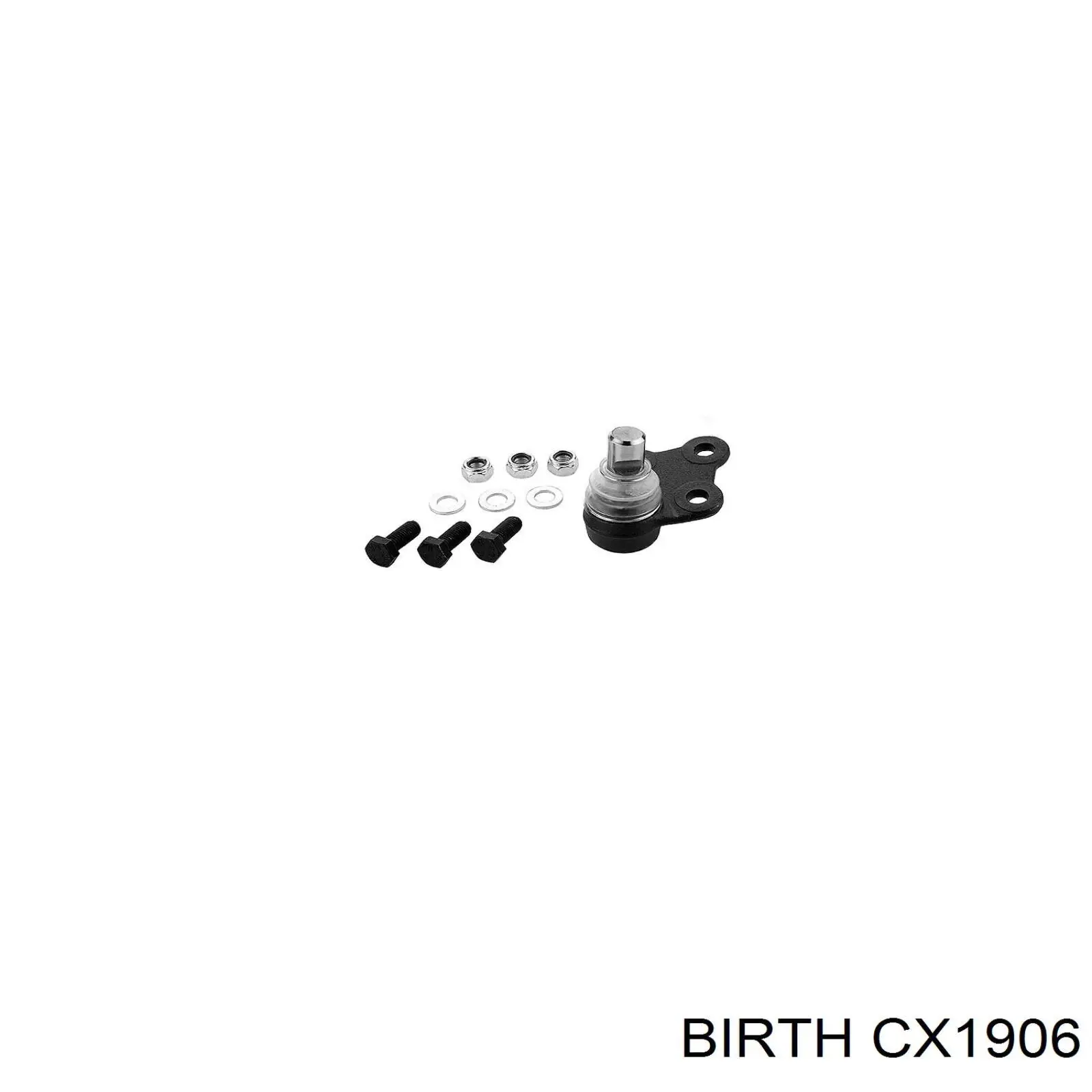 Купити CX1906 Birth Кульова опора, нижня