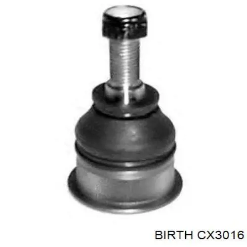 Купити CX3016 Birth Кульова опора, нижня