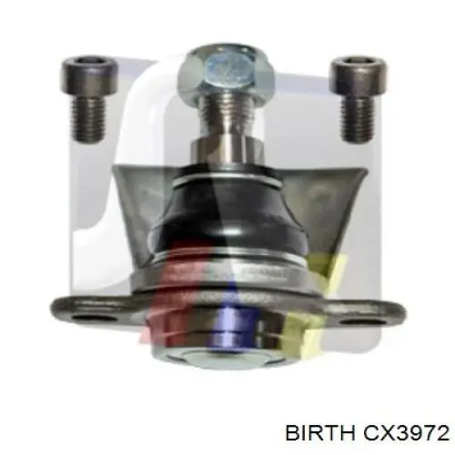 CX3972 Birth Кульові на авто