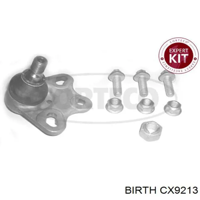 Купити CX9213 Birth Кульова опора, нижня
