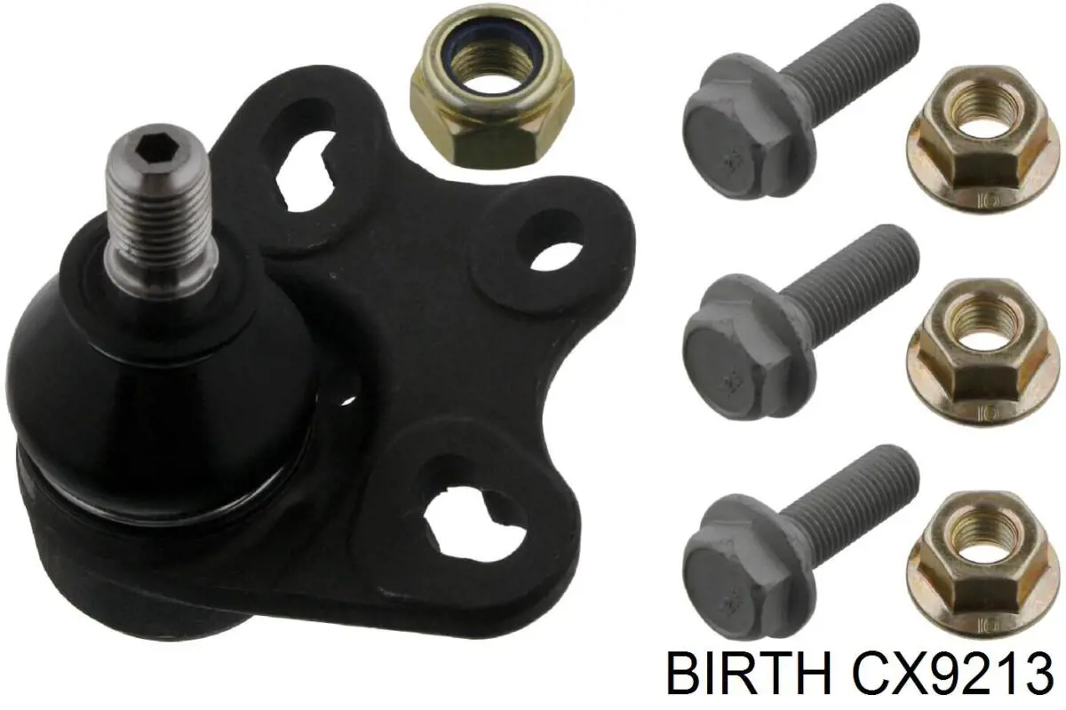 CX9213 Birth Кульові на авто