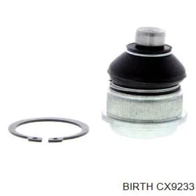 Купити CX9233 Birth Кульова опора, нижня