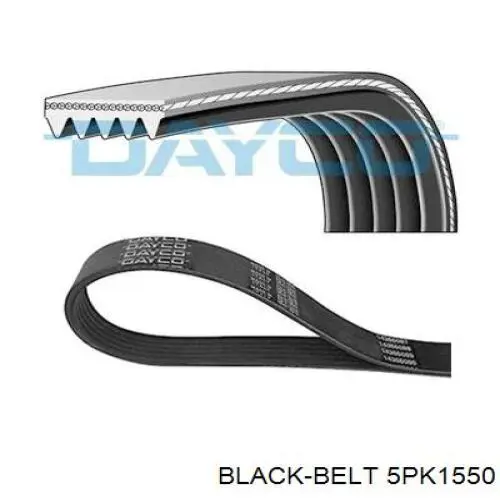Купити 5PK1550 Black Belt Ремінь генератора