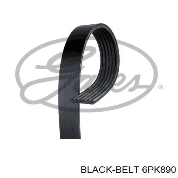 Ремінь приводний, агрегатів 6PK890 Black Belt