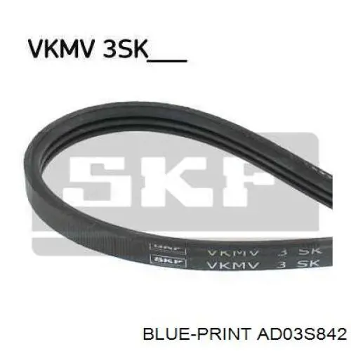AD03S842 Blue Print Поліклиновий ремінь