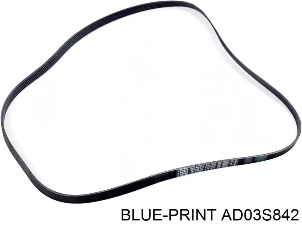 Купити AD03S842 Blue Print Ремінь генератора