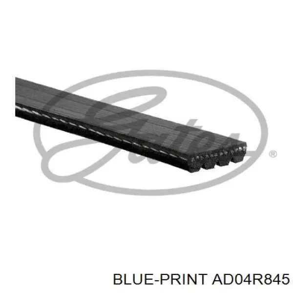 Клиновий ремінь Blue Print AD04R845 ціна, від 5.07 USD