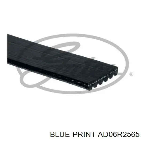 AD06R2565 Blue Print Поліклиновий ремінь