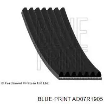 AD07R1905 Blue Print Поліклиновий ремінь