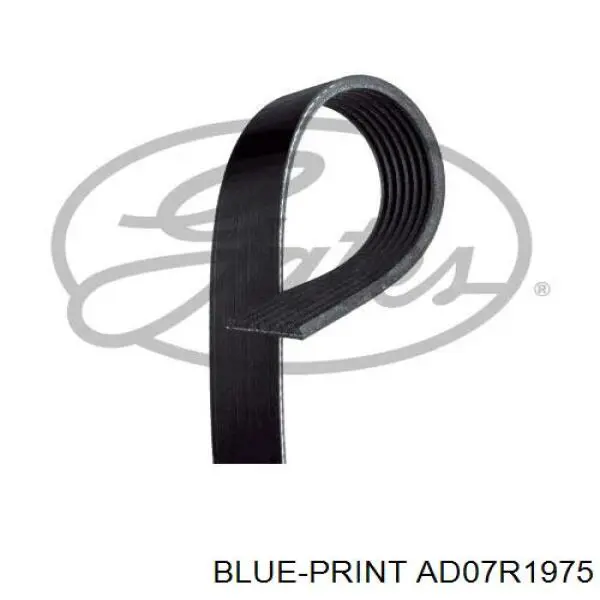 Ремінь генератора AD07R1975 Blue Print