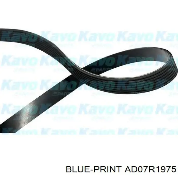 Купити AD07R1975 Blue Print Ремінь генератора