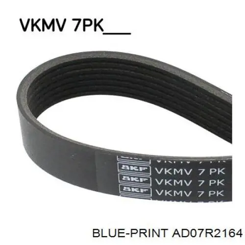 AD07R2164 Blue Print Поліклиновий ремінь