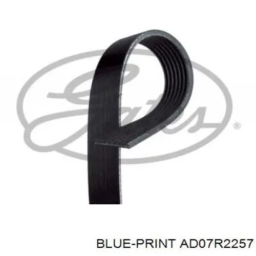 Клиновий ремінь Blue Print AD07R2257 ціна, від 19.08 USD