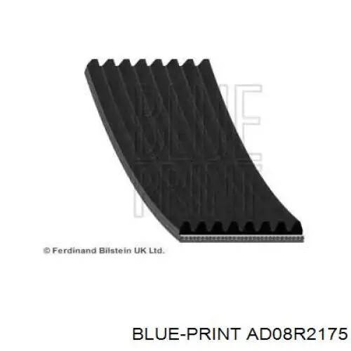 AD08R2175 Blue Print Поліклиновий ремінь